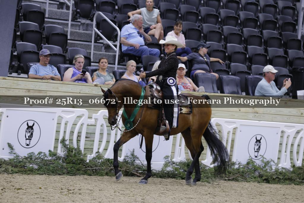 Proof 25R13_06672