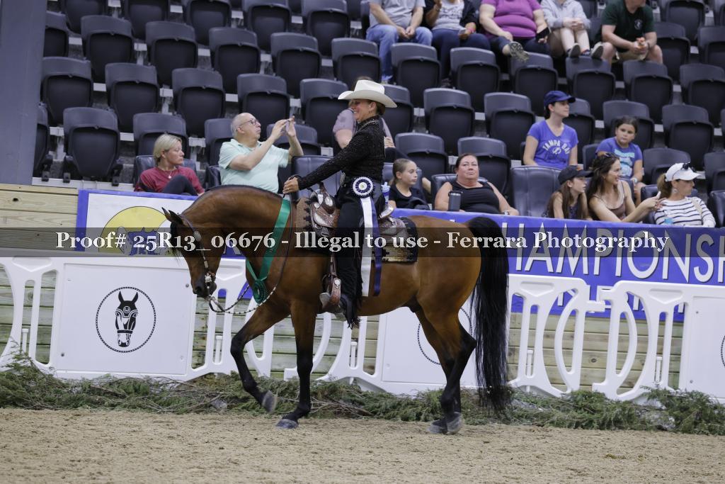 Proof 25R13_06676