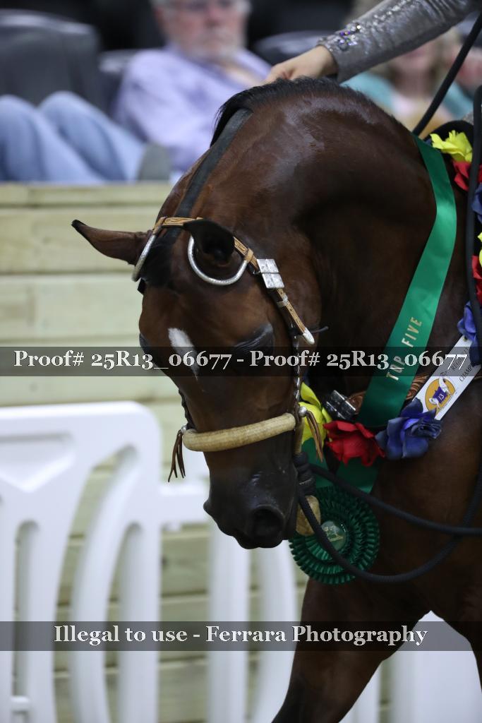 Proof 25R13_06677