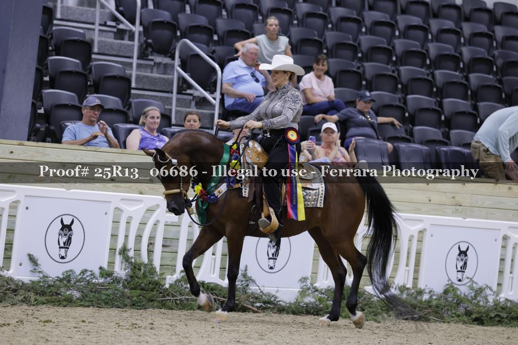 Proof 25R13_06686