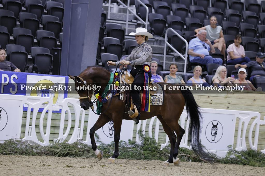 Proof 25R13_06687