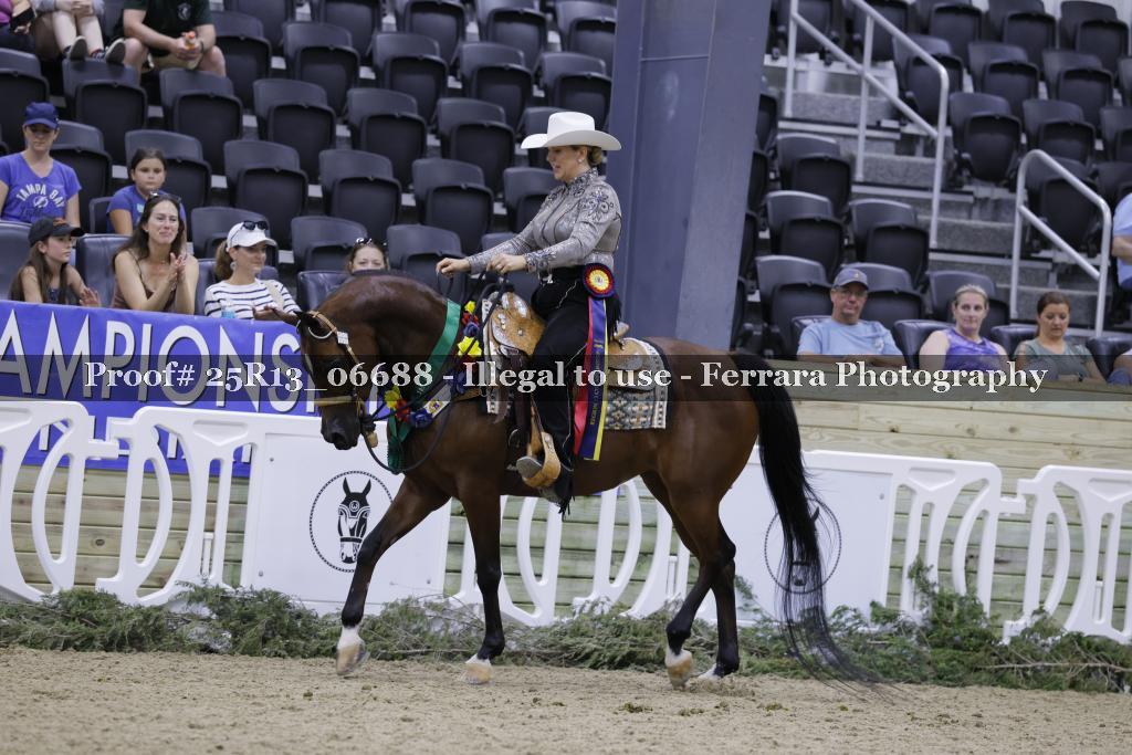 Proof 25R13_06688