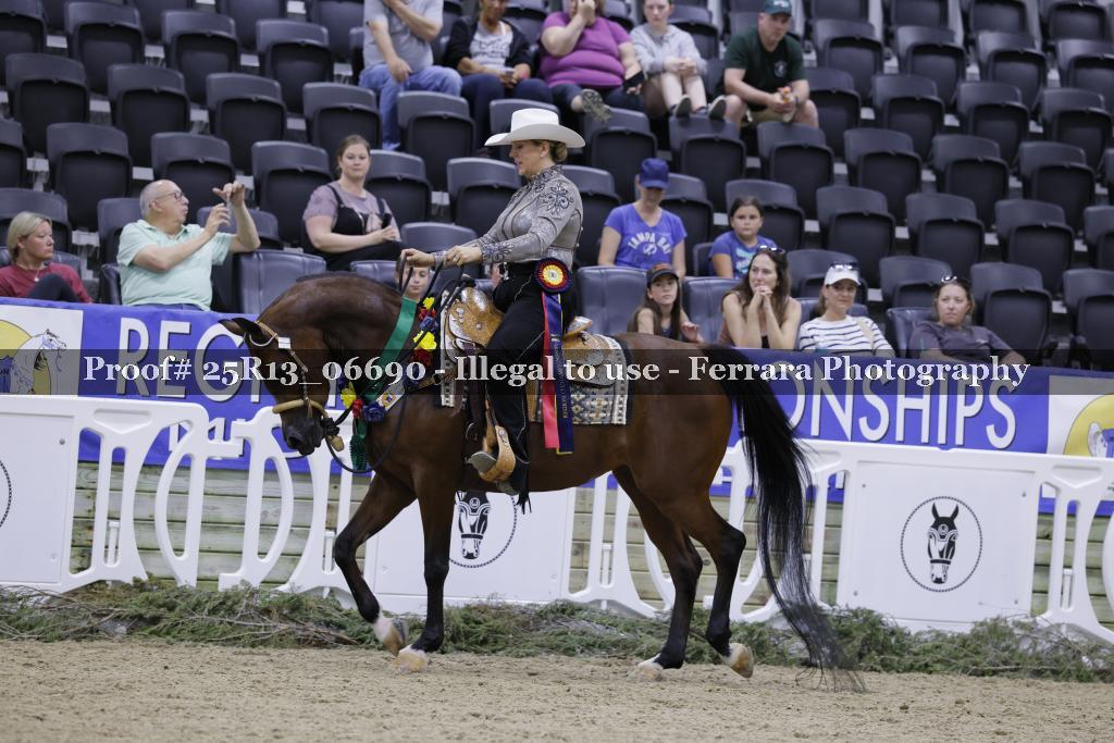 Proof 25R13_06690