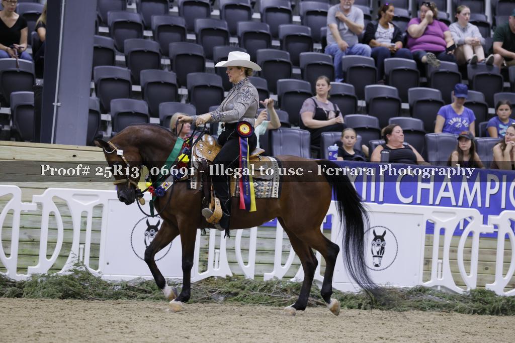 Proof 25R13_06691