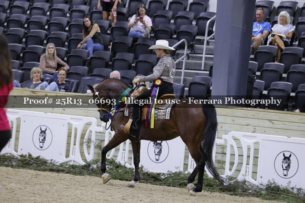 Proof 25R13_06693