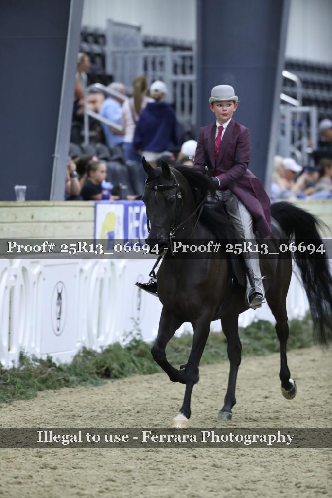 Proof 25R13_06694