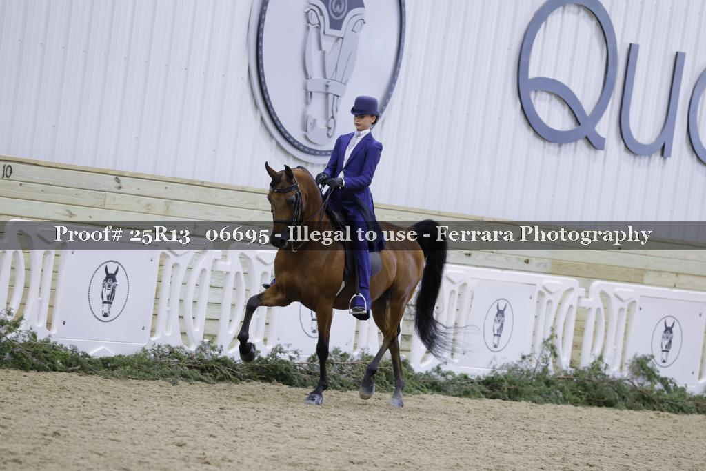 Proof 25R13_06695