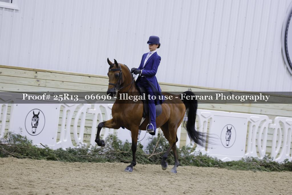Proof 25R13_06696