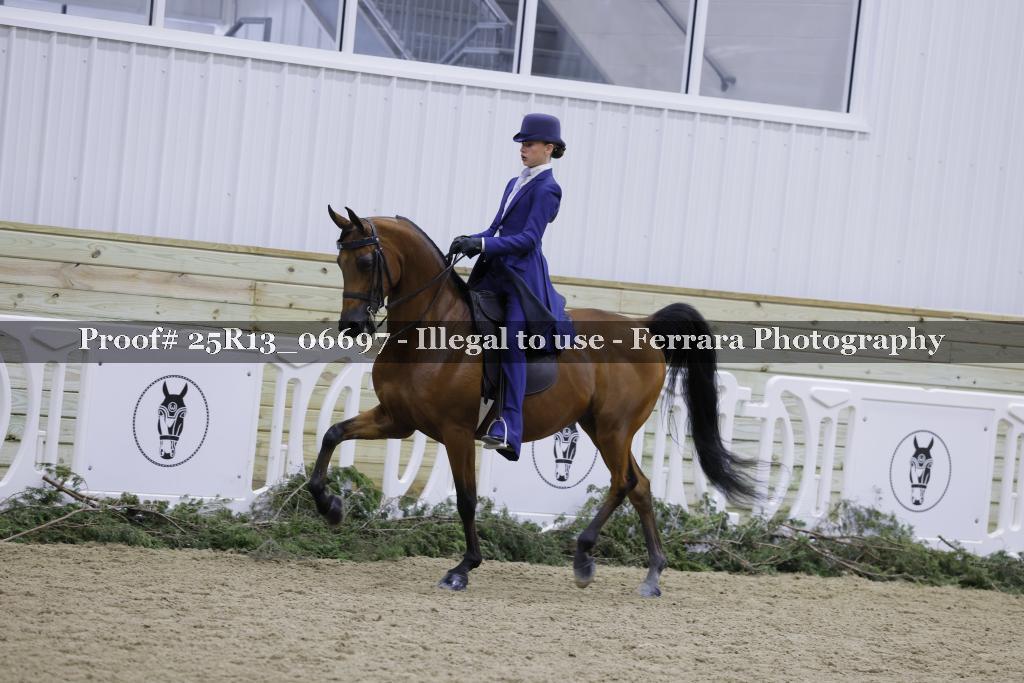 Proof 25R13_06697