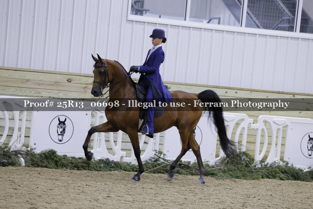Proof 25R13_06698