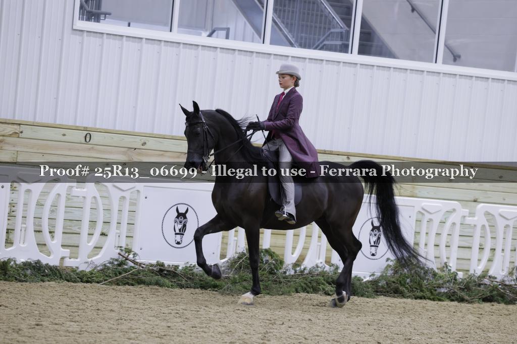 Proof 25R13_06699