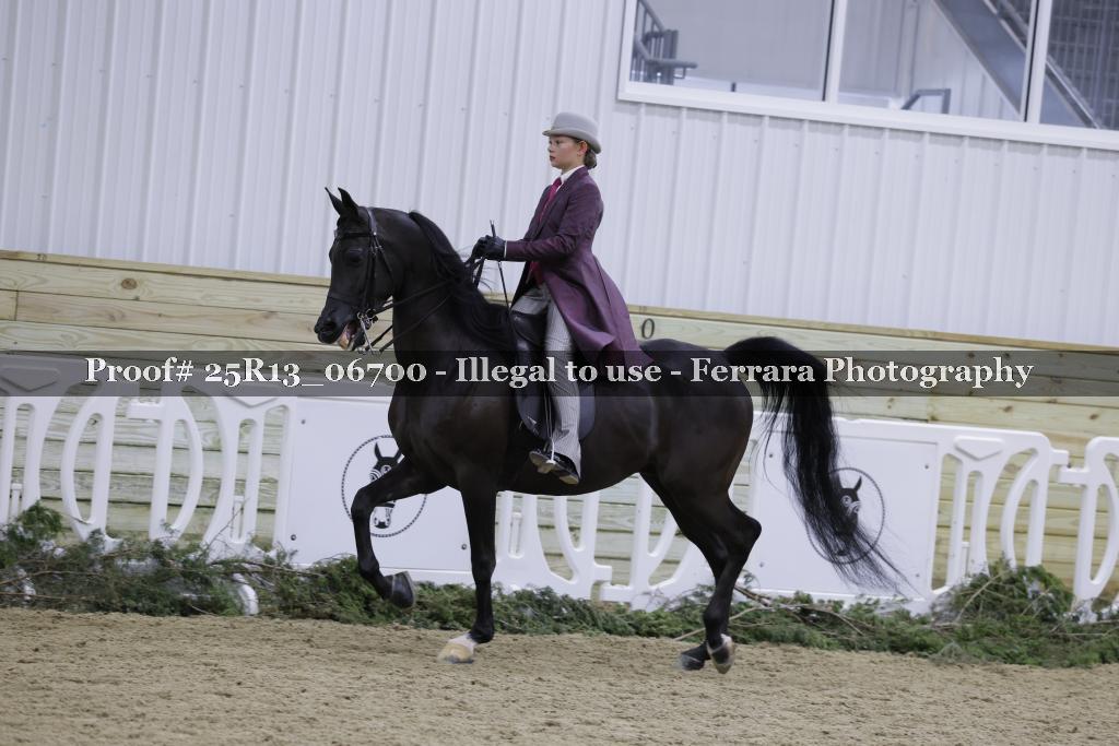 Proof 25R13_06700