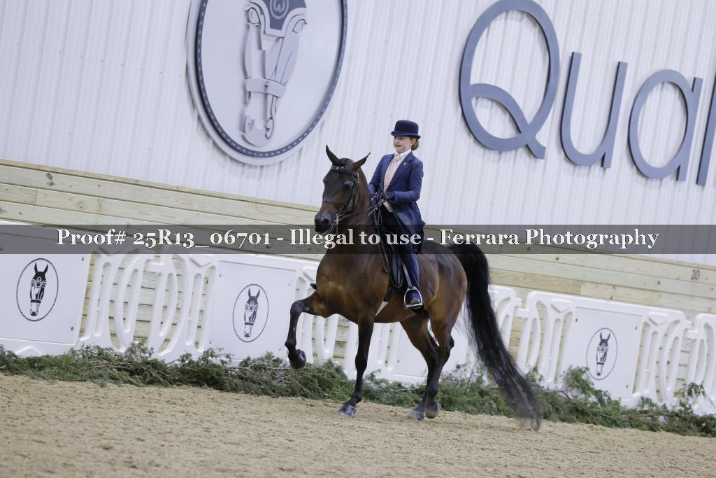 Proof 25R13_06701
