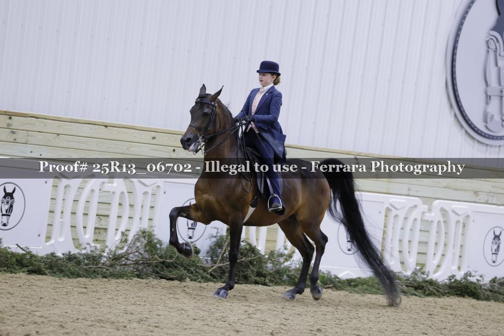 Proof 25R13_06702
