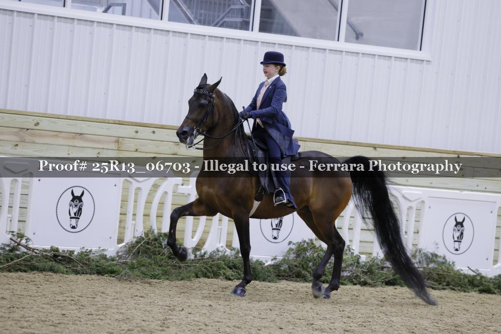 Proof 25R13_06703