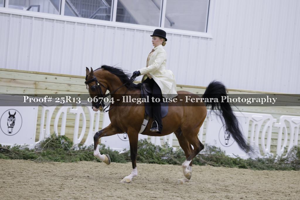 Proof 25R13_06704