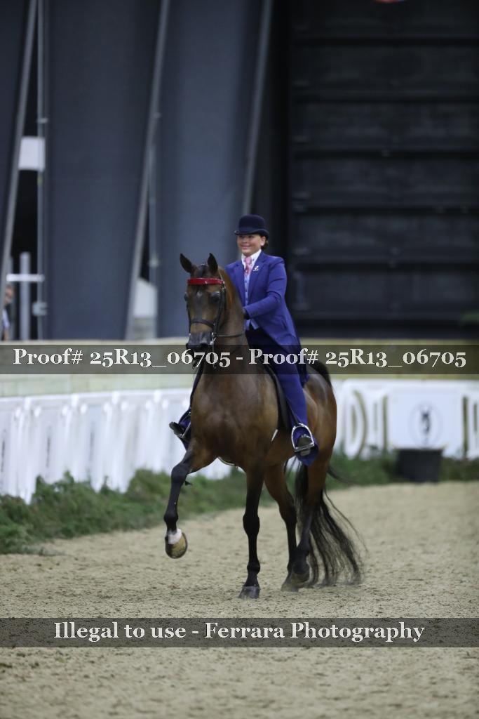 Proof 25R13_06705