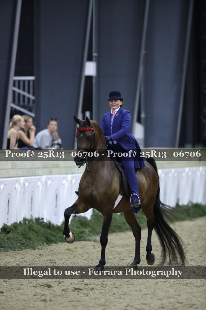 Proof 25R13_06706