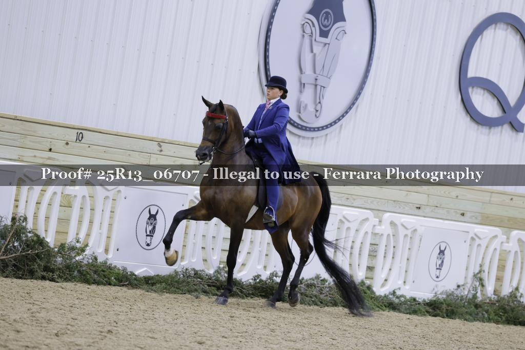Proof 25R13_06707