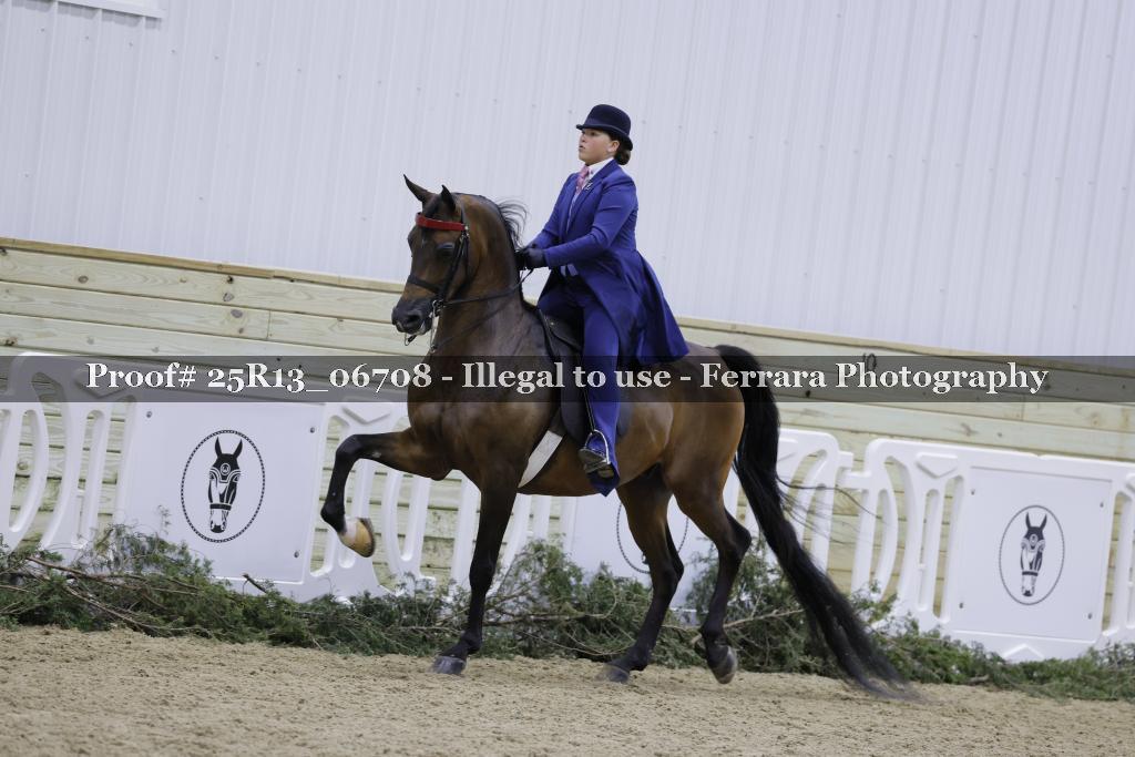 Proof 25R13_06708