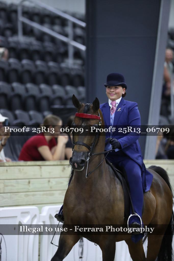 Proof 25R13_06709