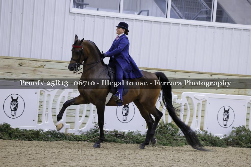Proof 25R13_06710
