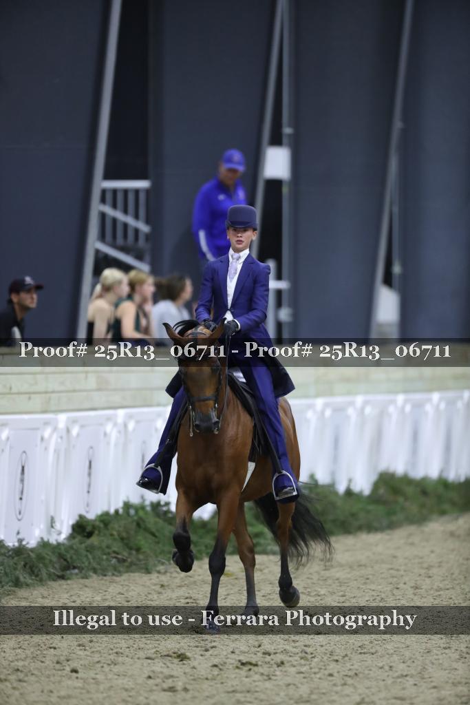 Proof 25R13_06711