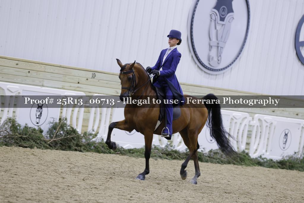 Proof 25R13_06713