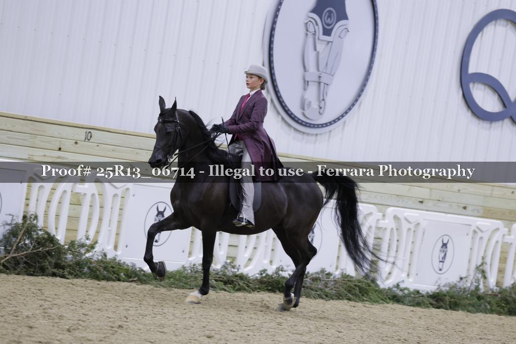 Proof 25R13_06714