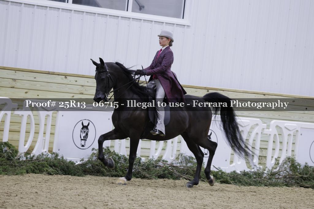 Proof 25R13_06715