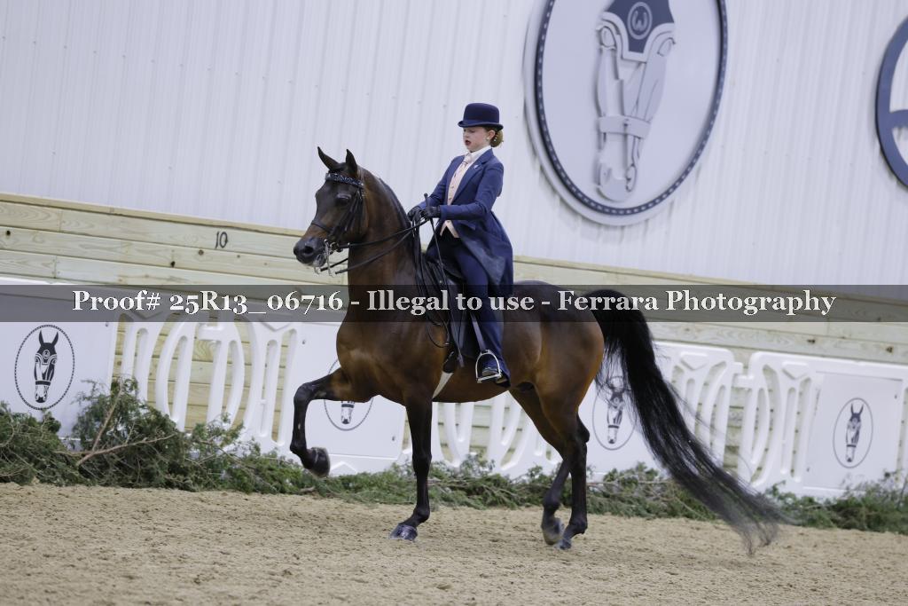 Proof 25R13_06716