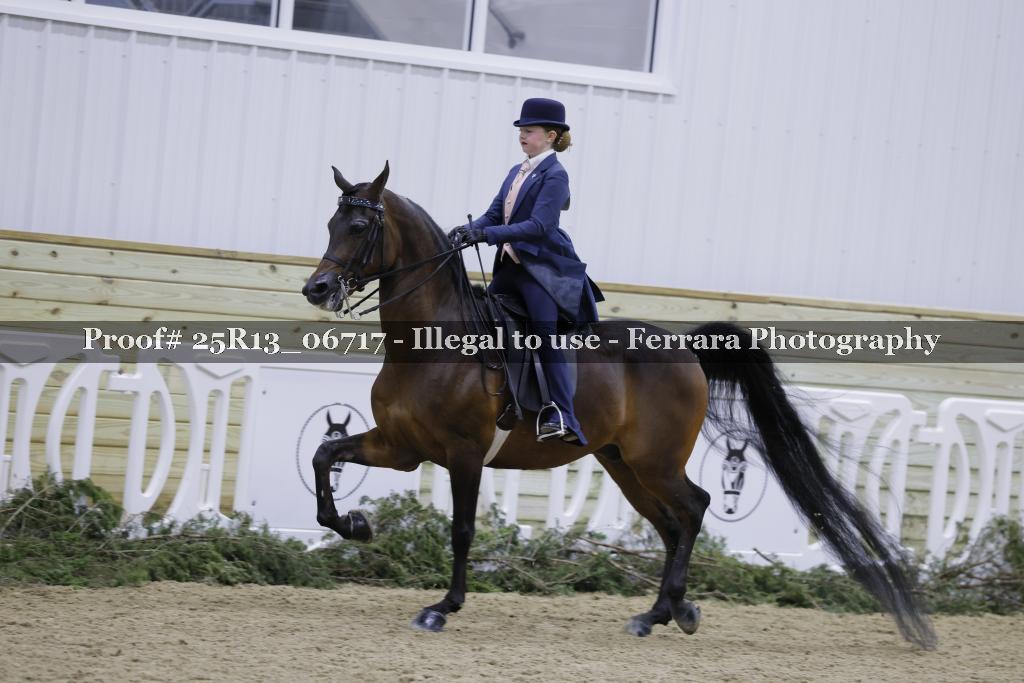 Proof 25R13_06717