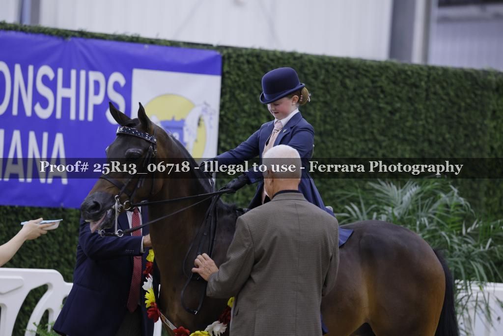 Proof 25R13_06718