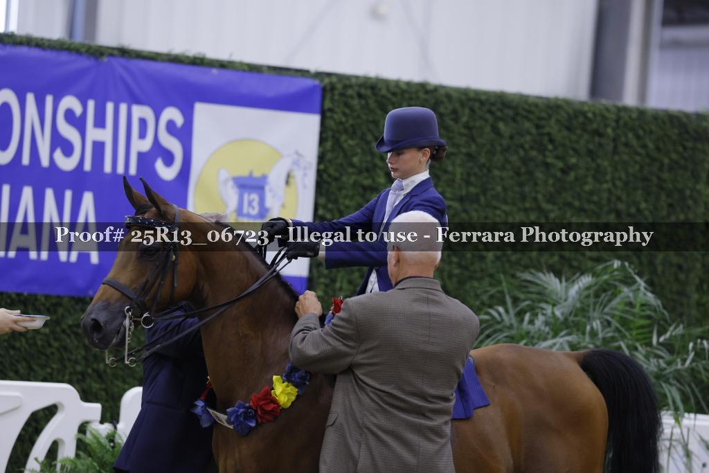 Proof 25R13_06723