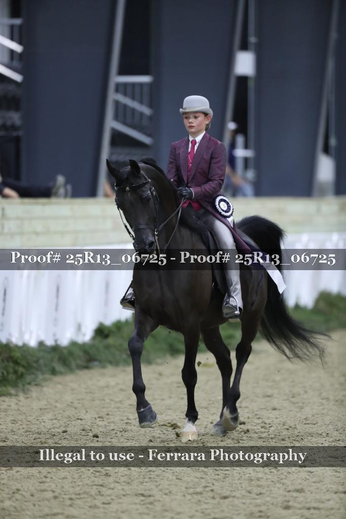 Proof 25R13_06725
