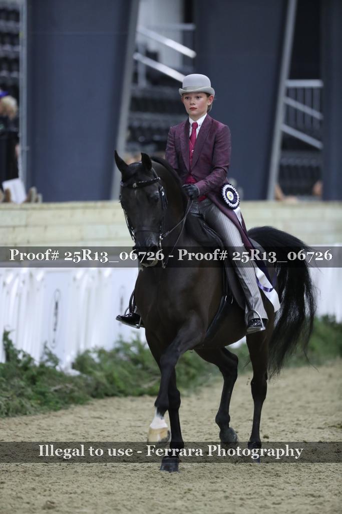 Proof 25R13_06726