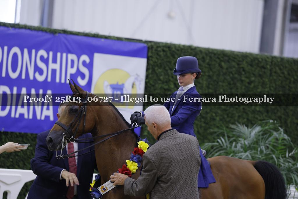 Proof 25R13_06727