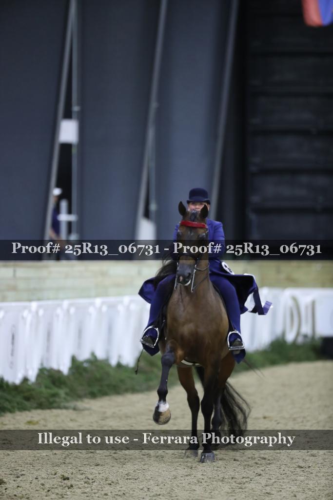 Proof 25R13_06731