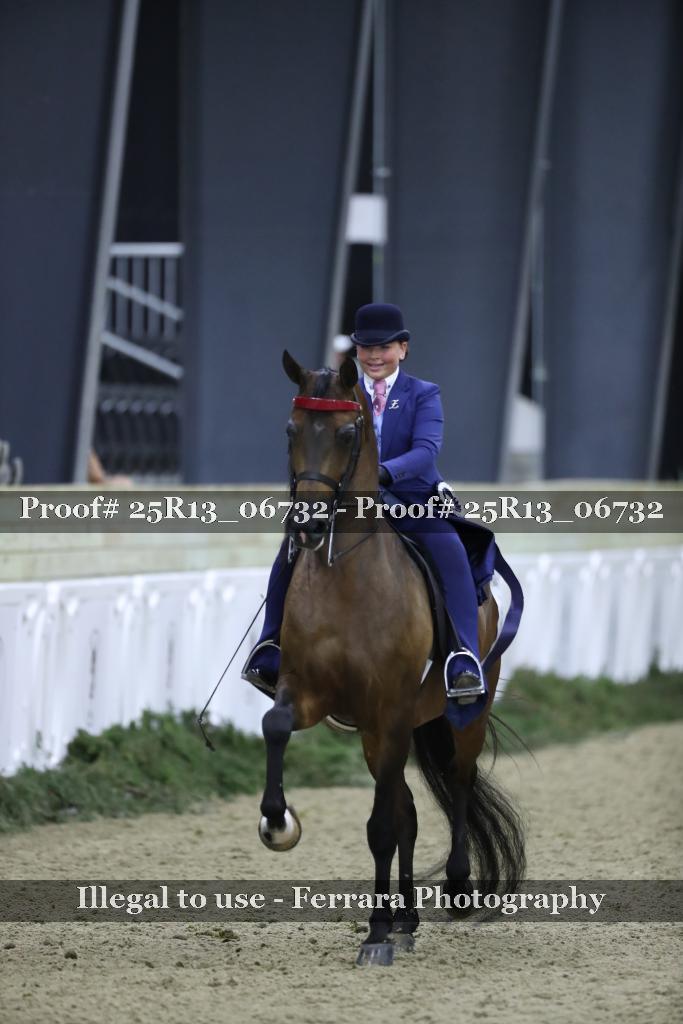 Proof 25R13_06732