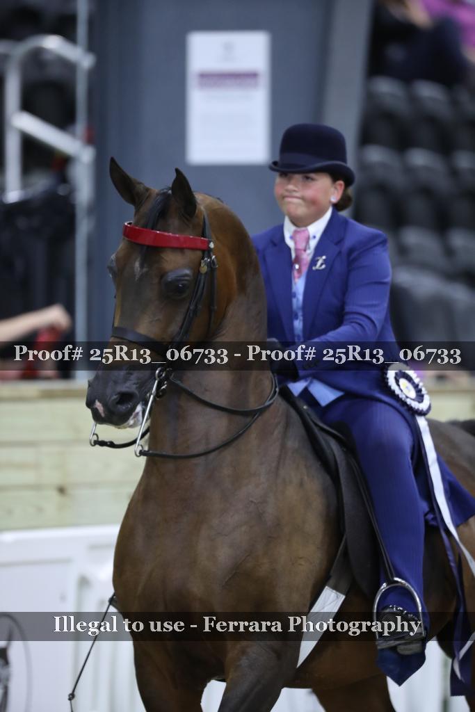 Proof 25R13_06733