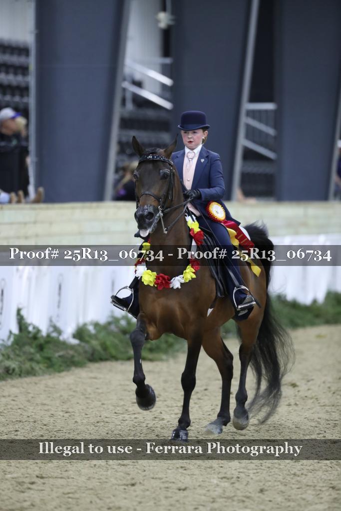 Proof 25R13_06734