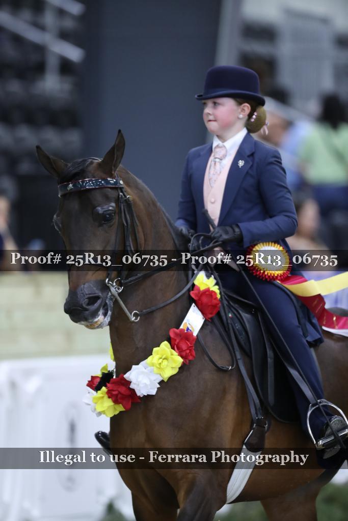 Proof 25R13_06735