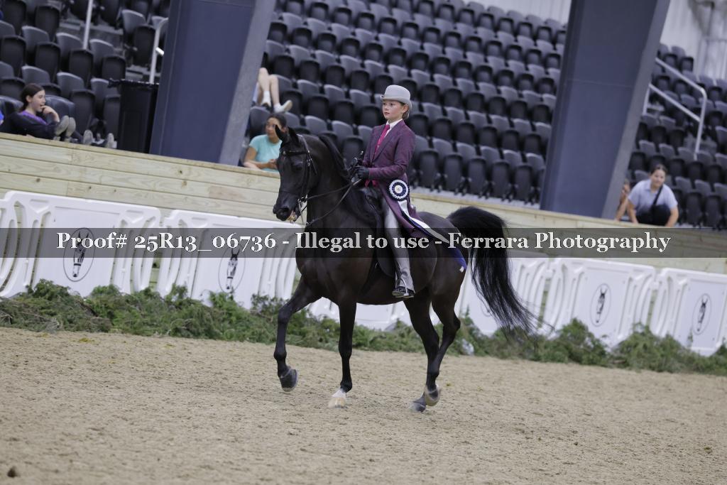Proof 25R13_06736
