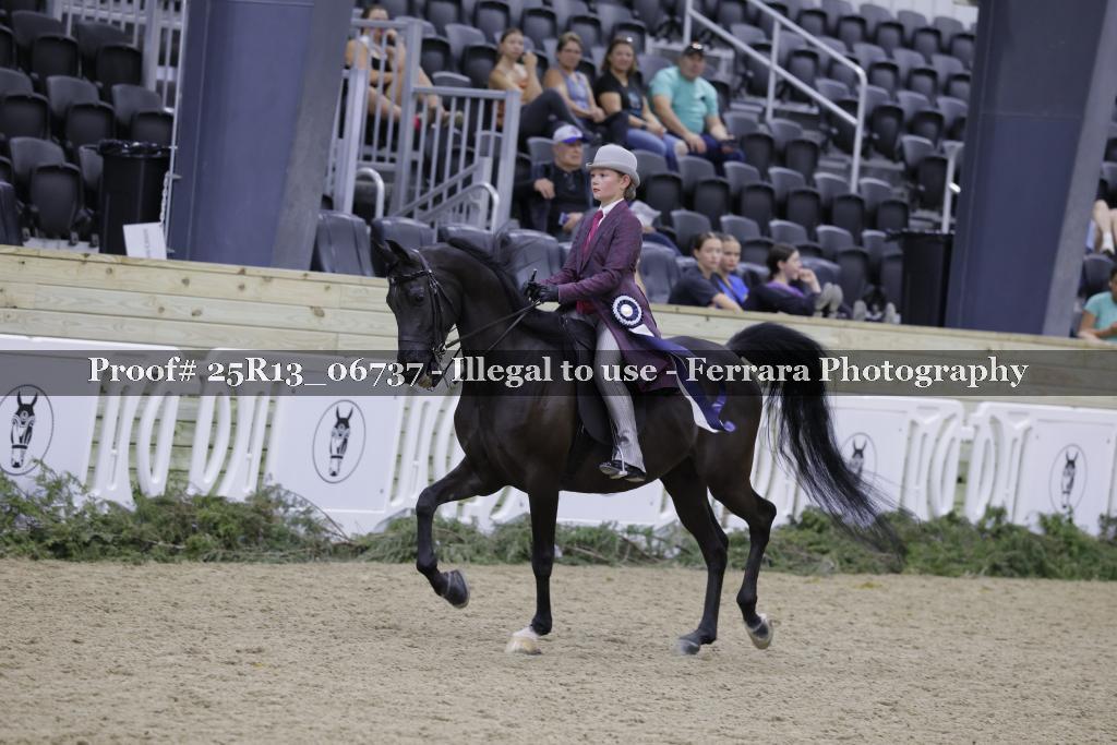 Proof 25R13_06737