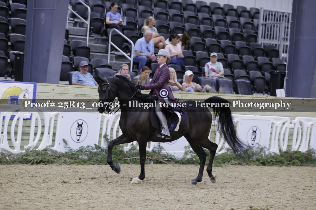Proof 25R13_06738