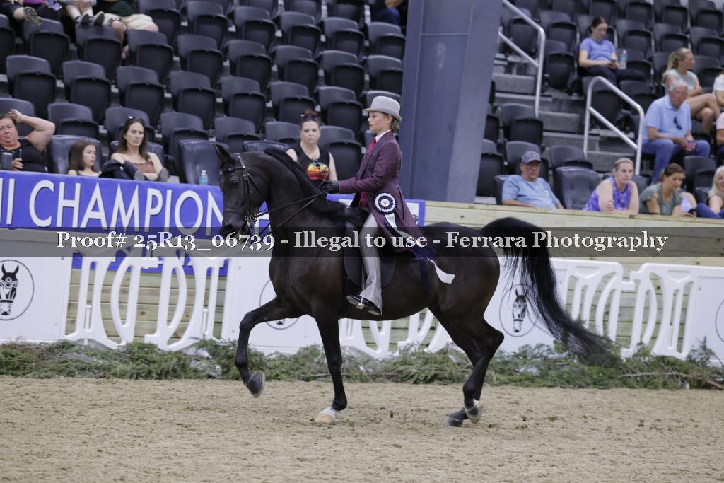 Proof 25R13_06739