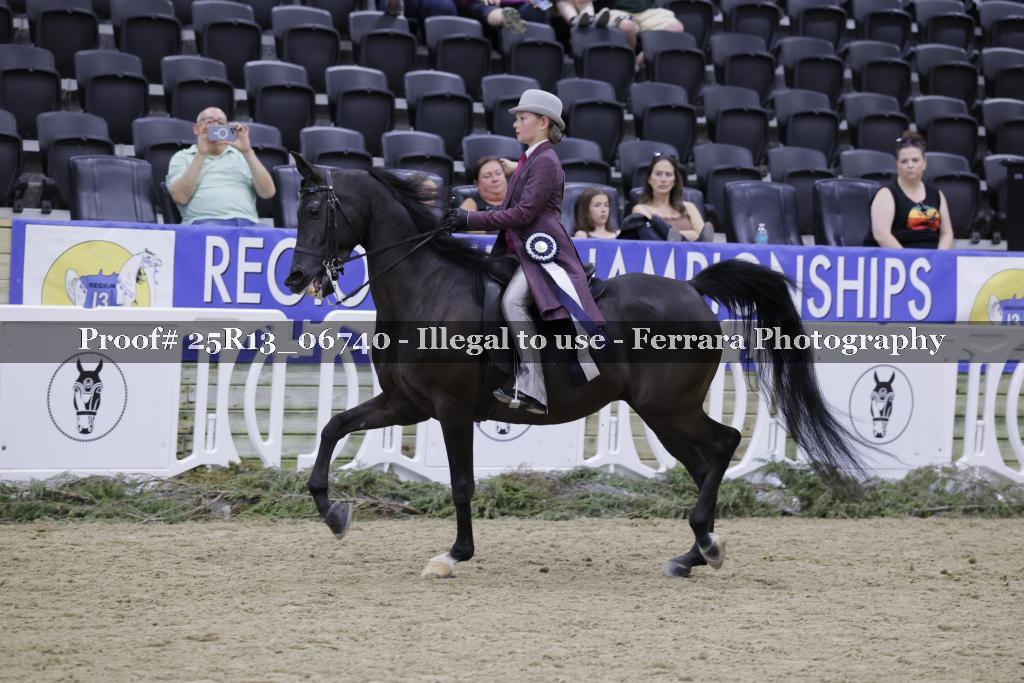 Proof 25R13_06740