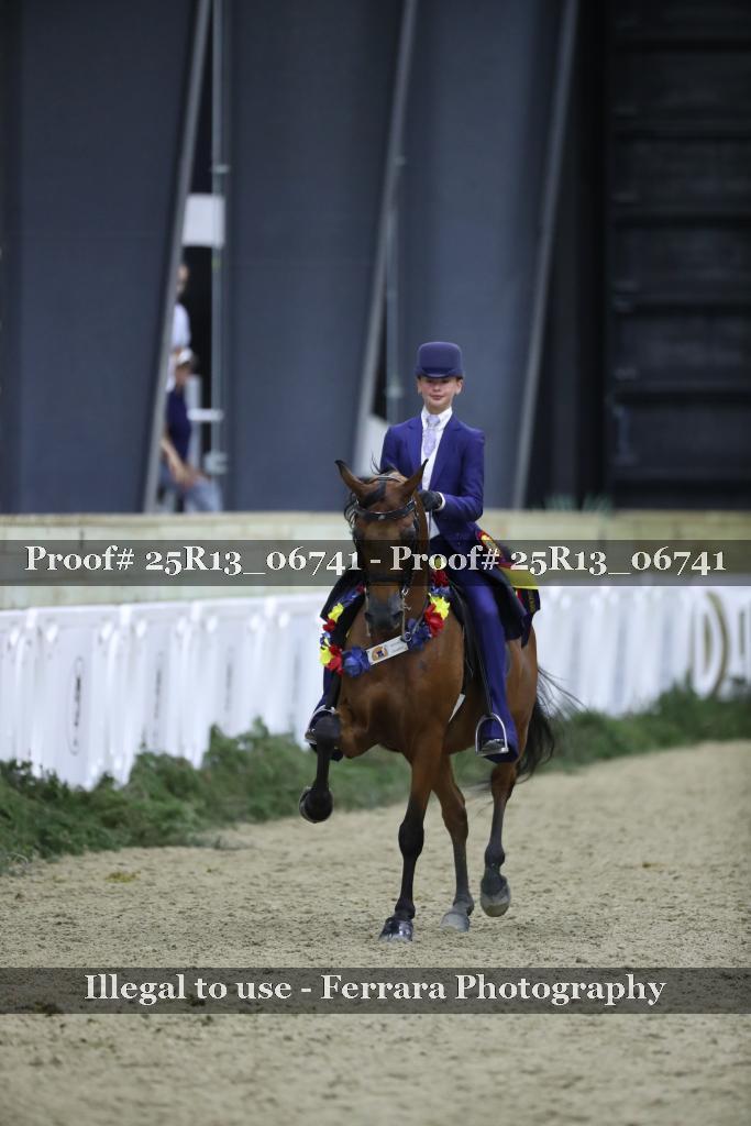 Proof 25R13_06741