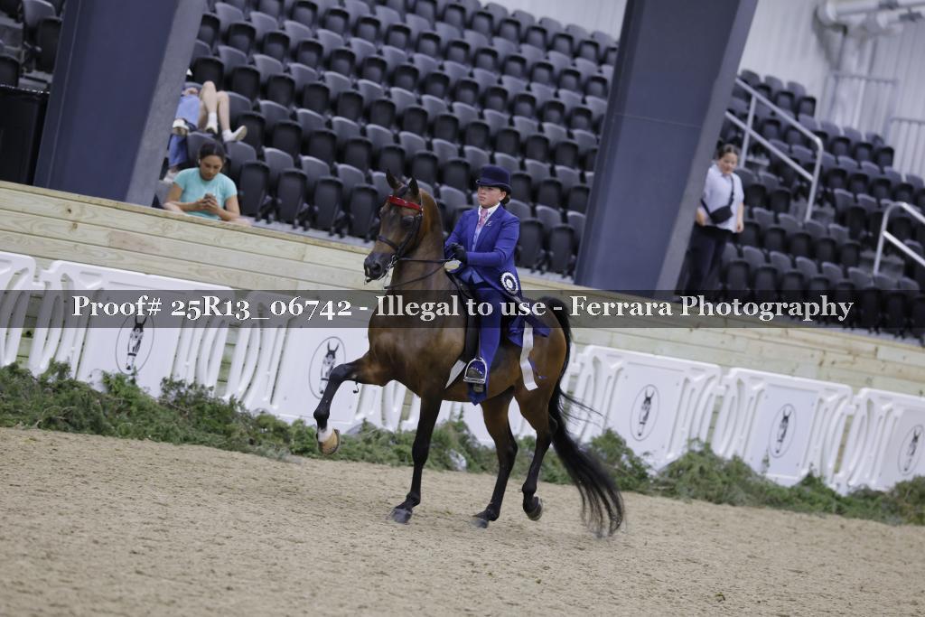 Proof 25R13_06742