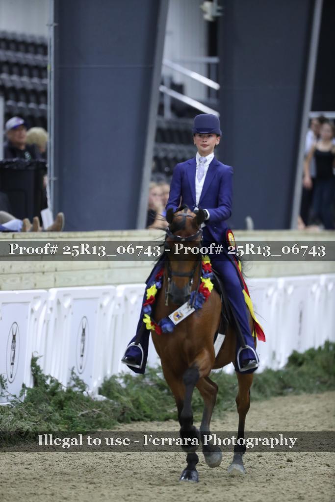 Proof 25R13_06743